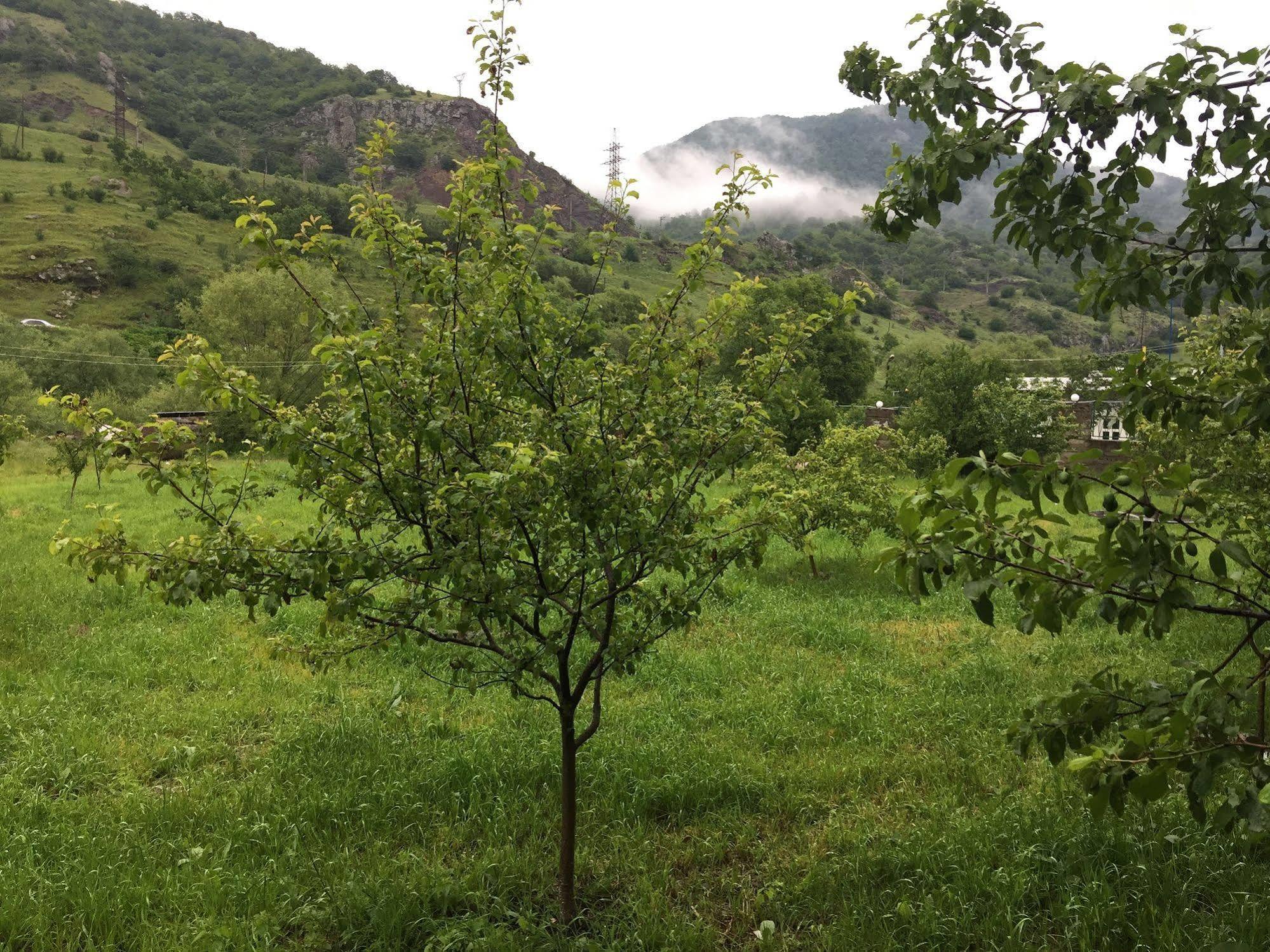 Restland Dilijan Family Hotel Eksteriør bilde